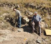 Dr Jonah Choiniere (left) of the University of the Witwatersrand and Mr Selby Vorster at the R393 road cutting dinosaur fossil site. The large fossilised thigh bone (femur) can be see protruding from the ground just below Dr Choiniere’s foot and it was this section that was stolen on 15th May 2013.