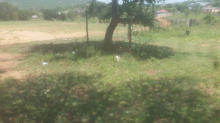Grave at Dingukwazi High School, KZN