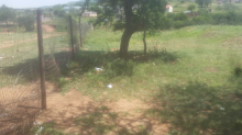 Grave site in relation to Grave at Dingukwazi High School fence