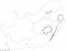 Map - Pietermaritzburg Formation