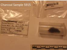 Charcoal sample 5915