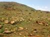 African concentration cemetery