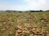 More African concentration graves