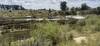 Panoramic View of the Proposed Tweefontein Gauging Site