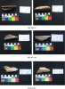 Nelson Bay Cave bone samples sheet1