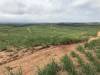 Eastern portion of KZN ASP site looking north-west