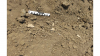 Human remains as found at D4182 Ch5440 2