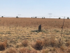 Site 4 Possible Graves