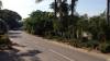 Street View - 8 Palmiet on RHS