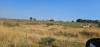 Langefontein site pic 1
