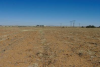 View of the eastern extremity of Onverwag RE/728, Welkom, Free State Province