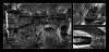 Collage of black-and-white images of the Old Lourens River Bridge.September 2012, Wikimedia
